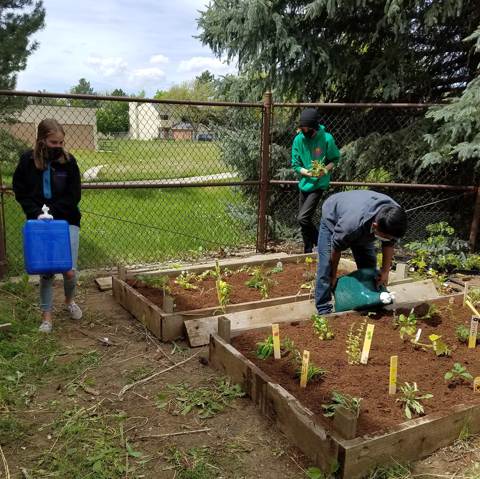 Centaurus Students Cap Semester with Garden Project - Cottonwood Institute