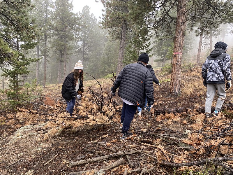 Students making slash and burn piles