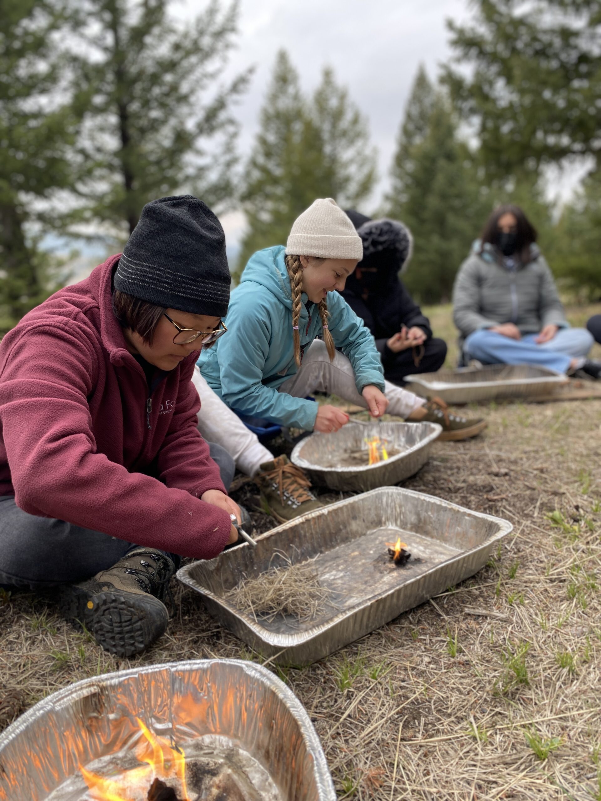 Diversity & Equity - Cottonwood Institute