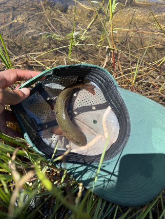 A Lincoln Hills Cares Watershed Program paricipant shows a fish held in their hat that they caught fly fishing