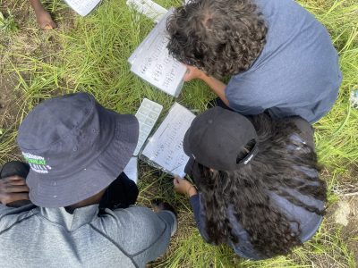 A Lincoln Hills Cares Watershed Program participants collect and learn about macroinvertebrates