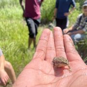 A Lincoln Hills Cares Watershed Program participant shows a little frog in their hand