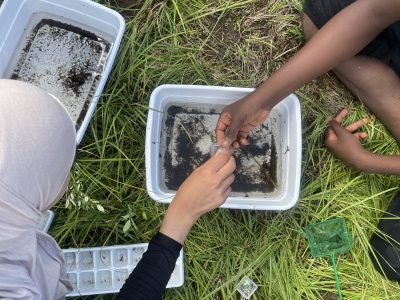 A Lincoln Hills Cares Watershed Program participants collect macroinvertebrates