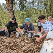 NVHS Students mulching at Ollin Farms