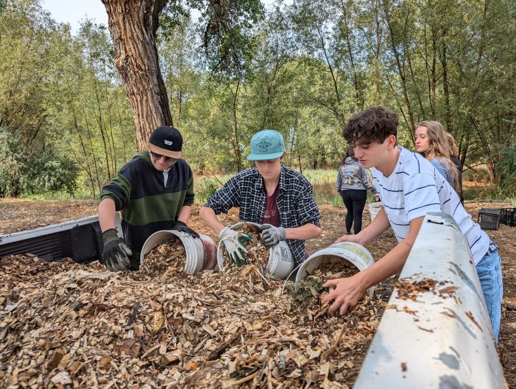 NVHS Students mulching at Ollin Farms