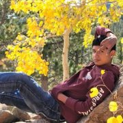 A CHS student relaxes under the yellow leaves of Aspen trees in autumn