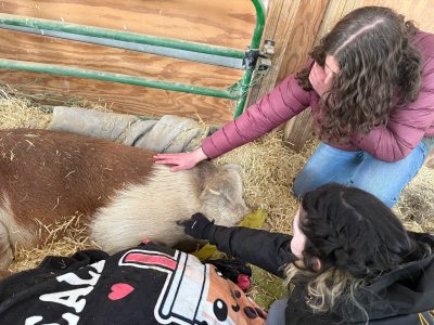 Changemaker Alumni students pet an animal during their service day at Luvin' Arms Animal Sanctuary.